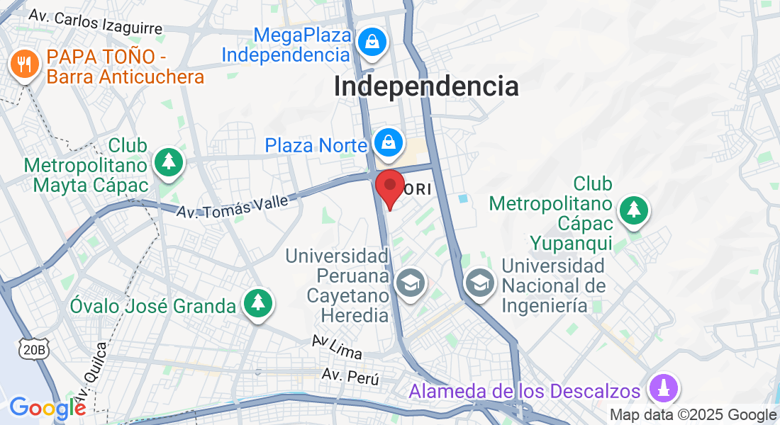 Av Enrique Fermi 555, San Martín de Porres 15102, Perú