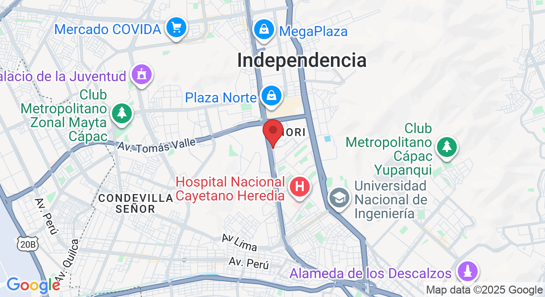 Av Enrique Fermi 599, San Martín de Porres 15102, Perú