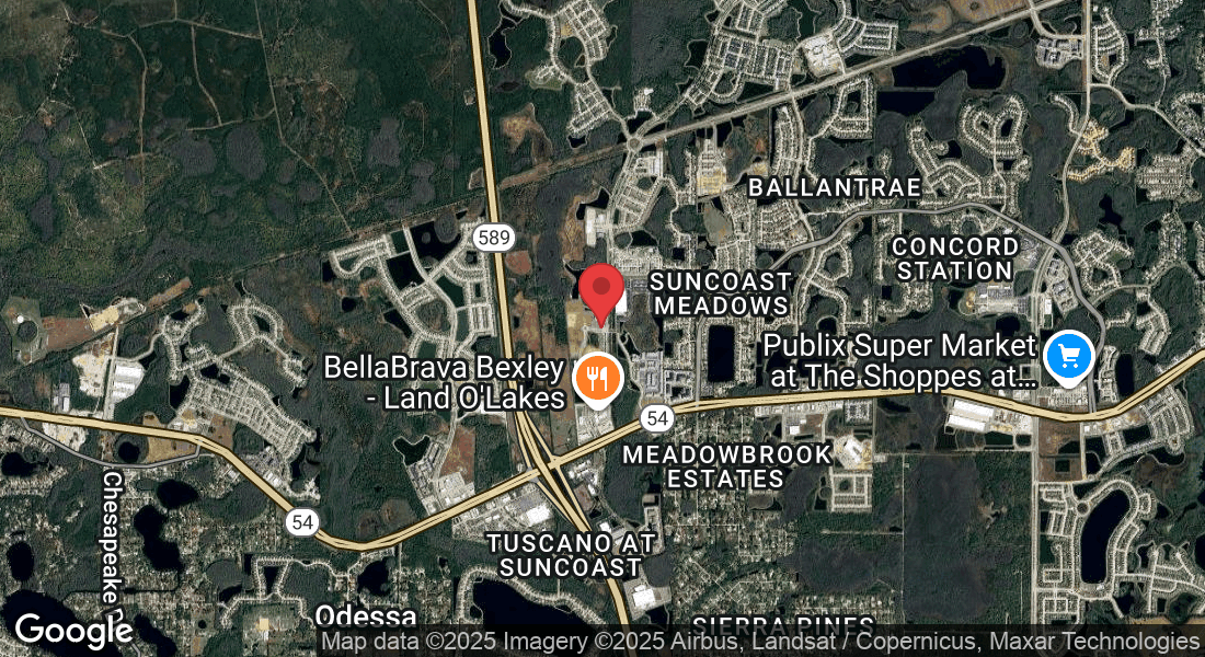 16703 Early Riser Ave Suite 240, Land O' Lakes, FL 34638, USA