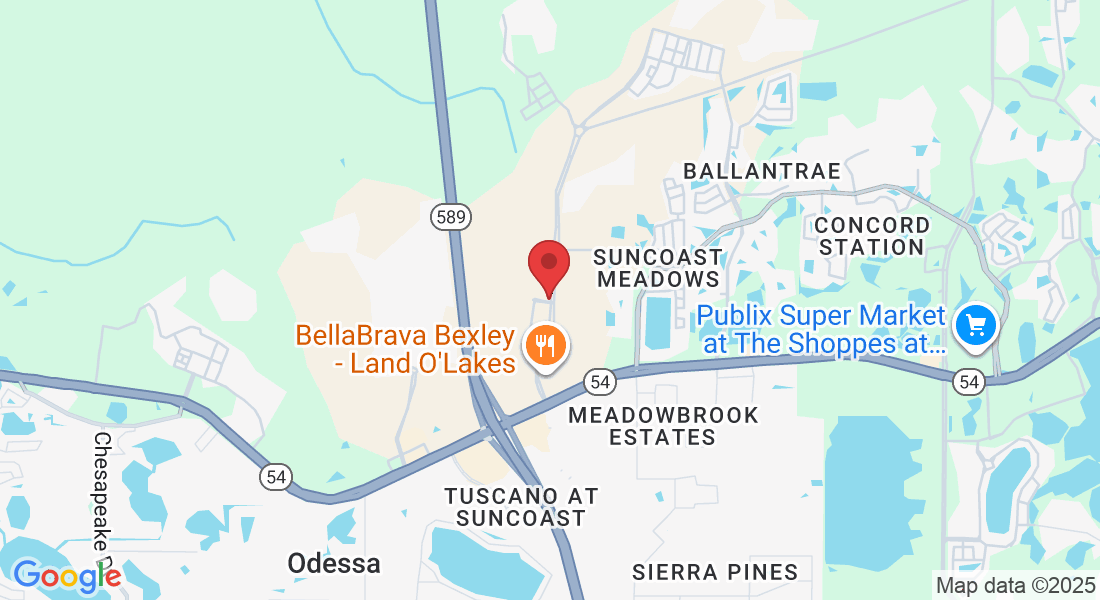 16703 Early Riser Ave Suite 240, Land O' Lakes, FL 34638, USA