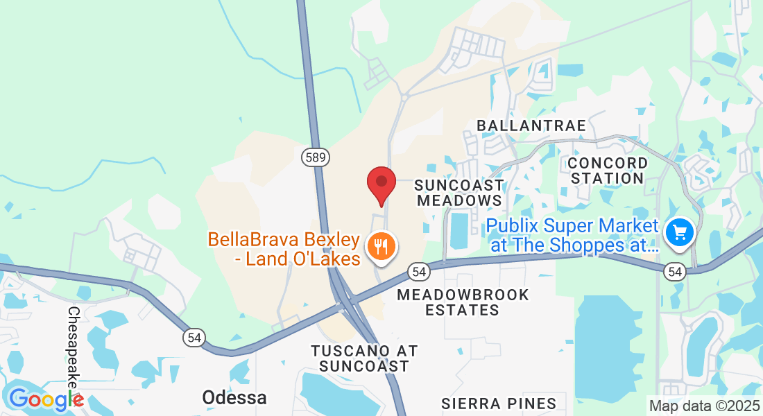 16703 Early Riser Ave, Land O' Lakes, FL 34638, USA