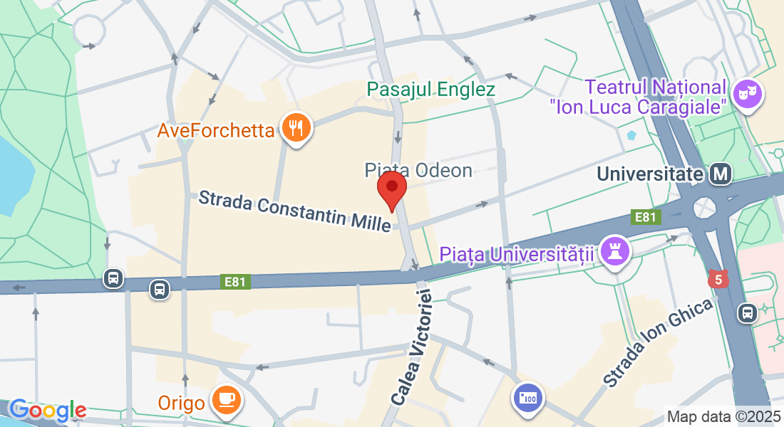 Calea Victoriei 29, București 010061, Romania