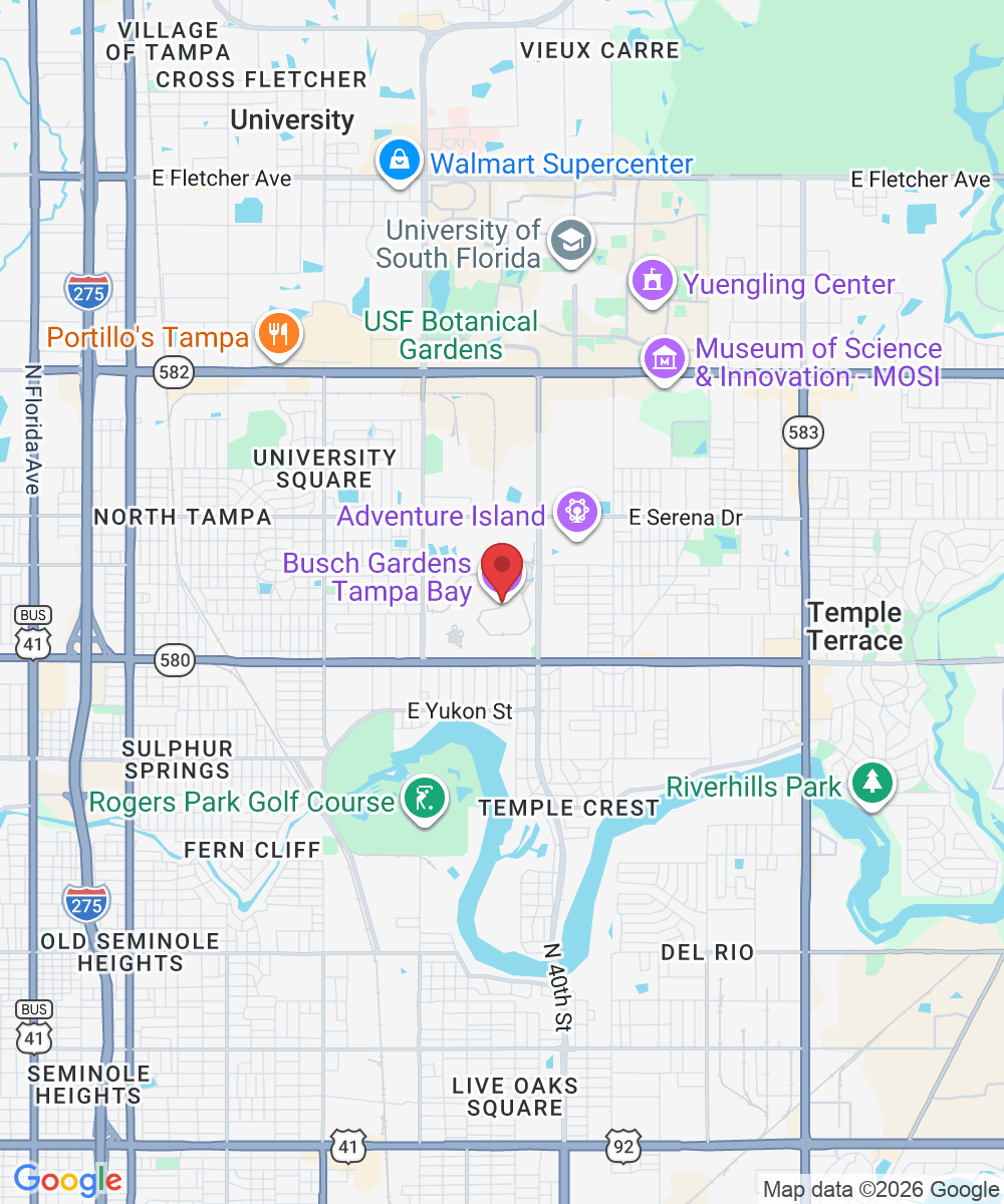10165 McKinley Dr, Tampa, FL 33612, USA