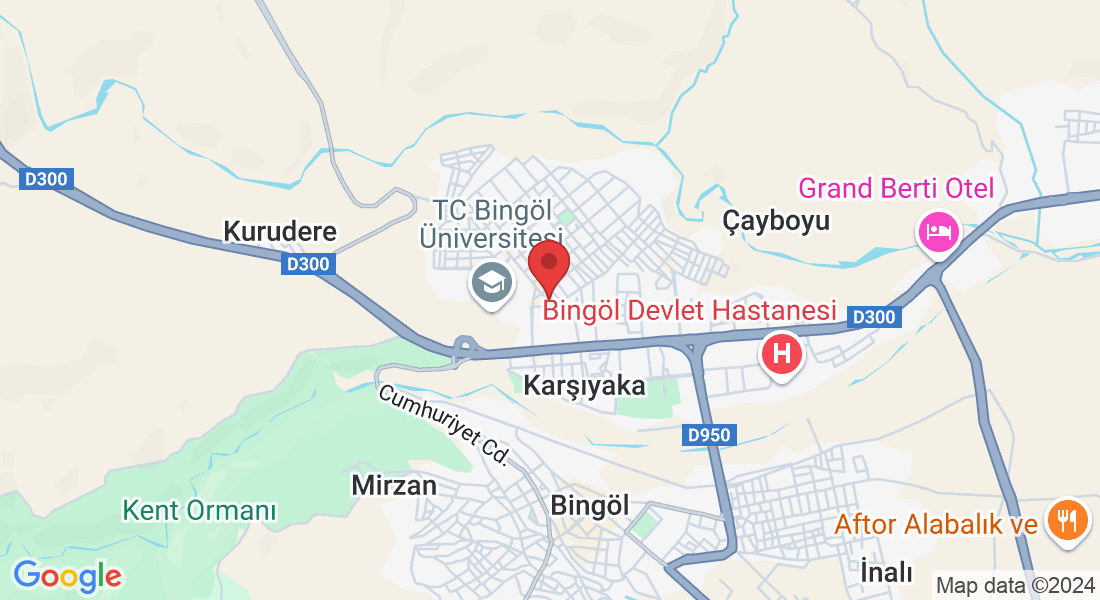 Şehit Mustafa Gündoğdu Mahallesi Cam Sokak Kalium AVM Migros Girişi Karşısı, Şehit Mustafa Gündoğdu, Pukka Toast & Bistro, 12000 Merkez/Bingöl, Türkiye