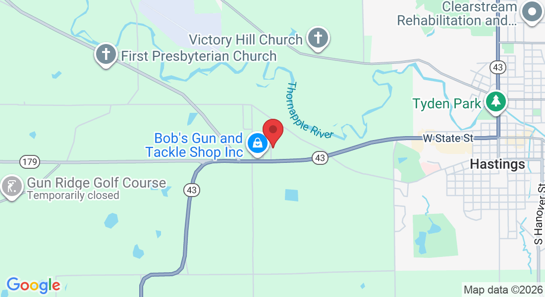 384 Haines Lp Dr, Hastings, MI 49058, USA