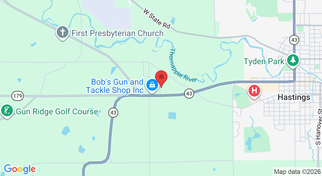 384 Haines Lp Dr, Hastings, MI 49058, USA