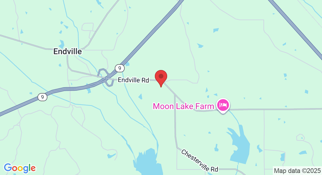 198 Woodbridge Dr, Belden, MS 38826, USA