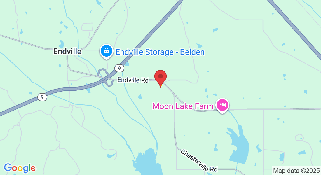 198 Woodbridge Dr, Belden, MS 38826, USA