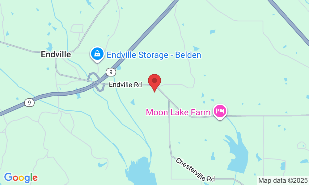 198 Woodbridge Dr, Belden, MS 38826, USA