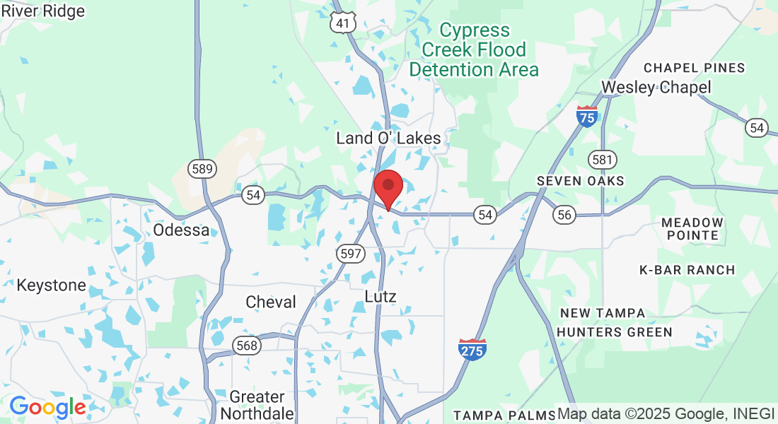 2029 Osprey Ln Suite B, Land O' Lakes, FL 33549, USA