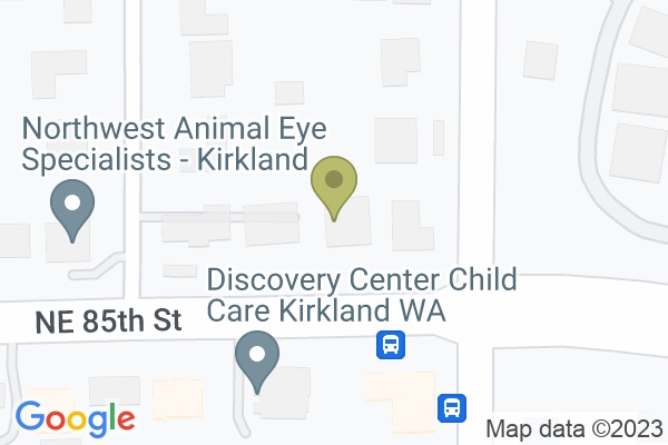 13130 NE 85th St suite 150 b, Kirkland, WA 98033, USA