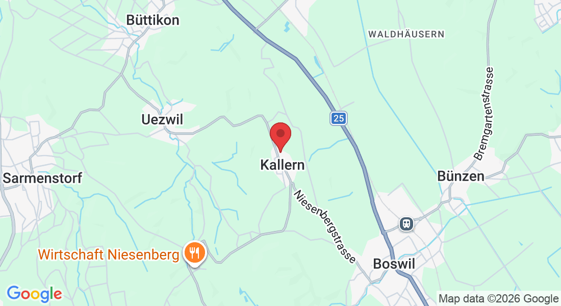 Langmattstrasse 30, 5625 Kallern, Switzerland