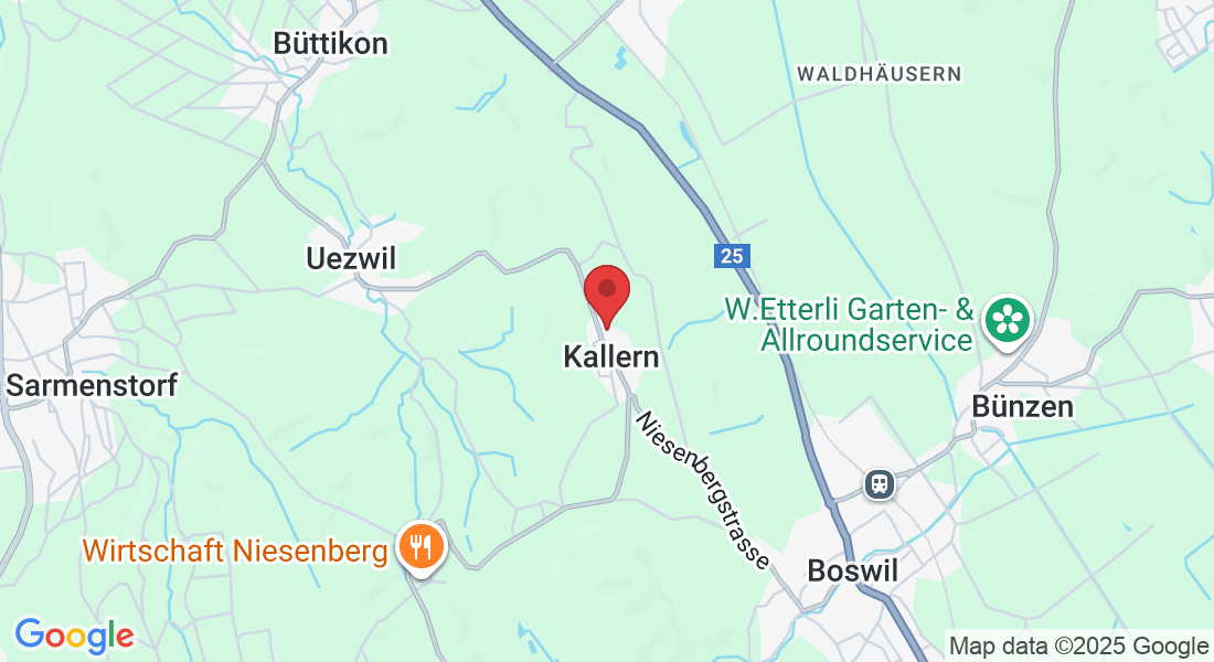 Langmattstrasse 30, 5625 Kallern, Switzerland