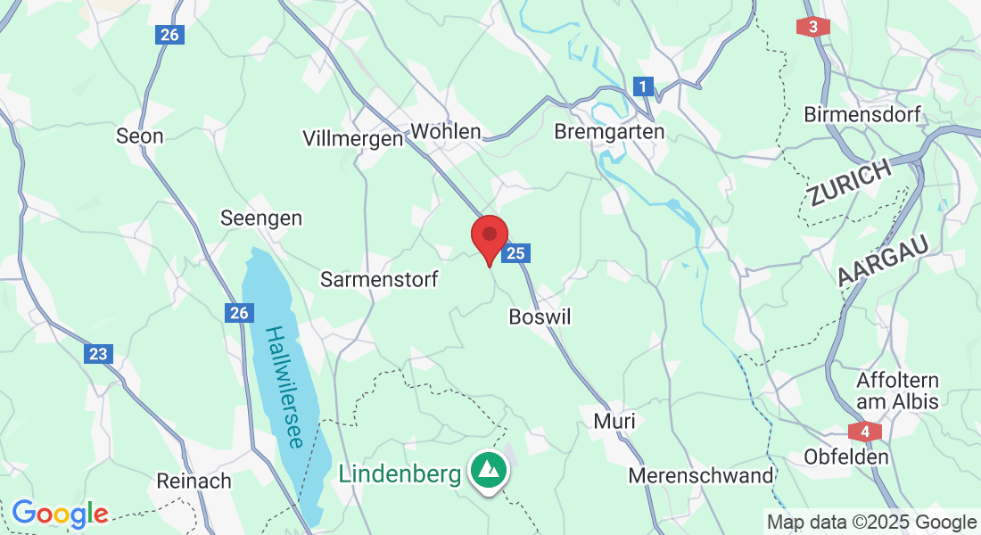 Langmattstrasse 30, 5625 Kallern, Switzerland