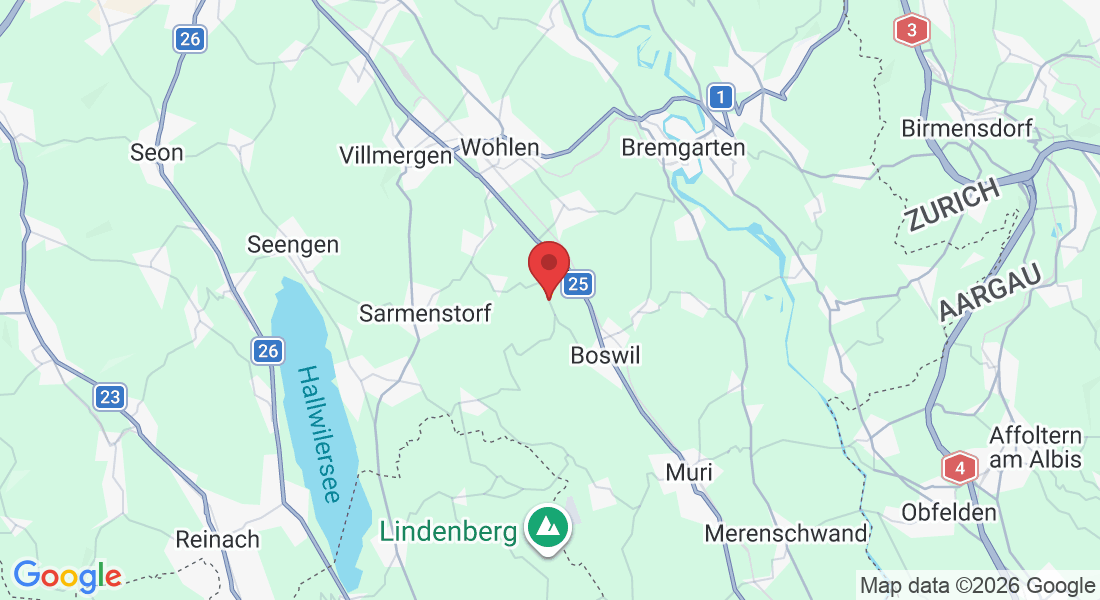 Langmattstrasse 30, 5625 Kallern, Switzerland