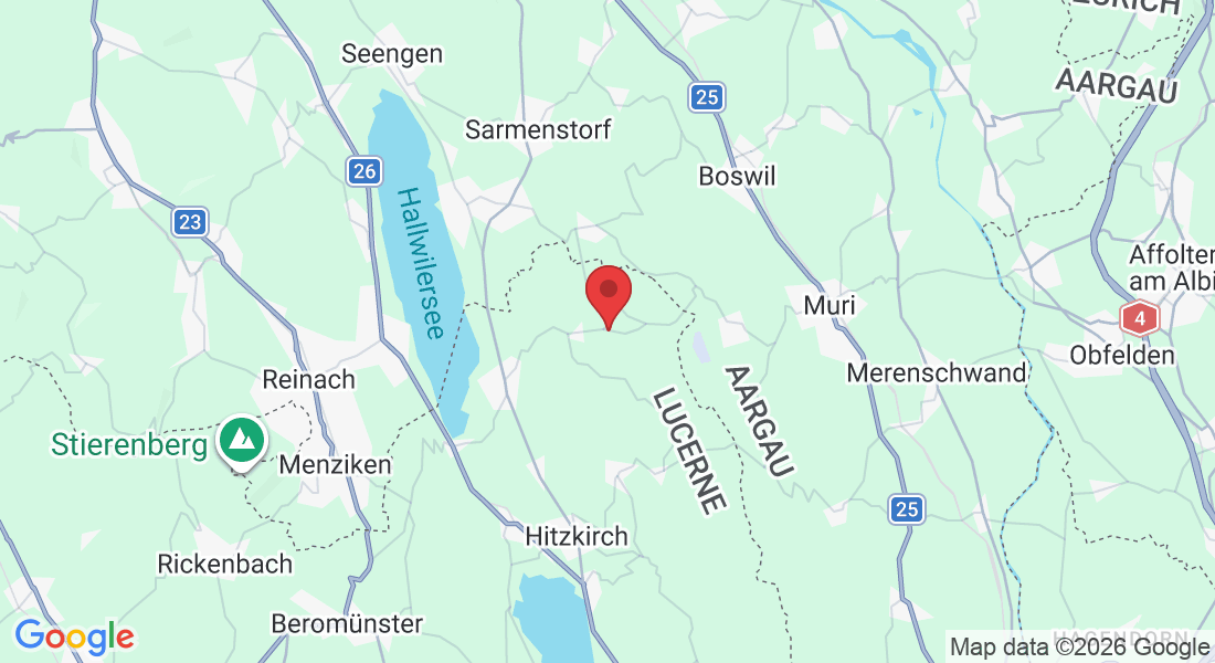 Guggibadstrasse 6, 6288 Schongau, Switzerland