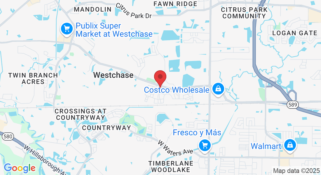 9906 W Linebaugh Ave, Tampa, FL 33626, EUA