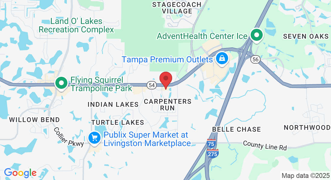 24746 FL-54, Lutz, FL 33559, USA