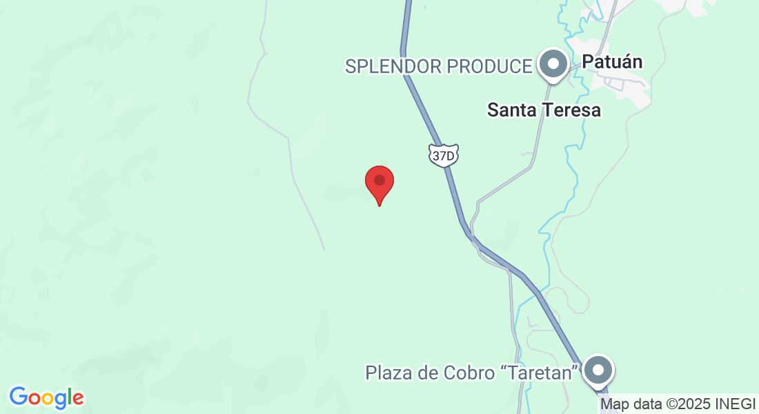 93G4+XR, 61718 Santa Teresa, Michoacán, México
