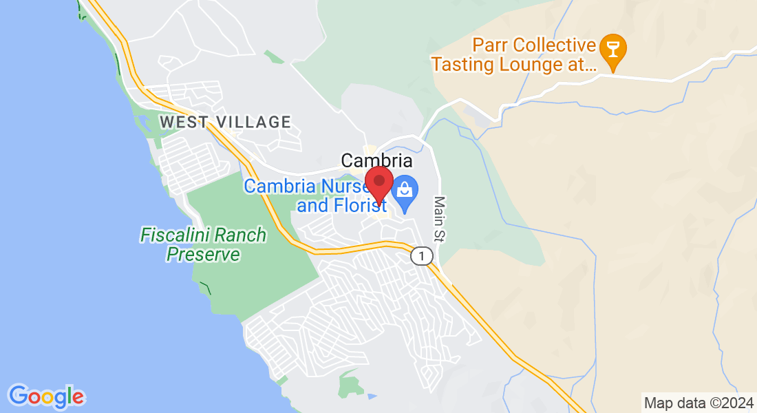 2905 Burton Dr, Cambria, CA 93428, USA