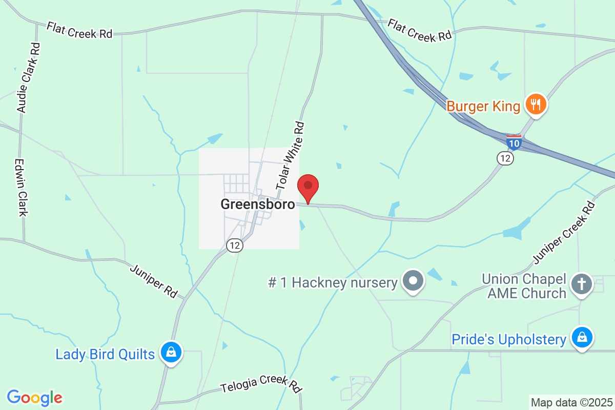 565 Selman St, Quincy, FL 32351, EE. UU.