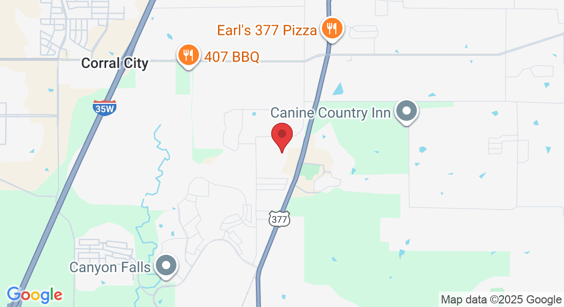 979 Stonecrest Rd, Argyle, TX 76226, USA