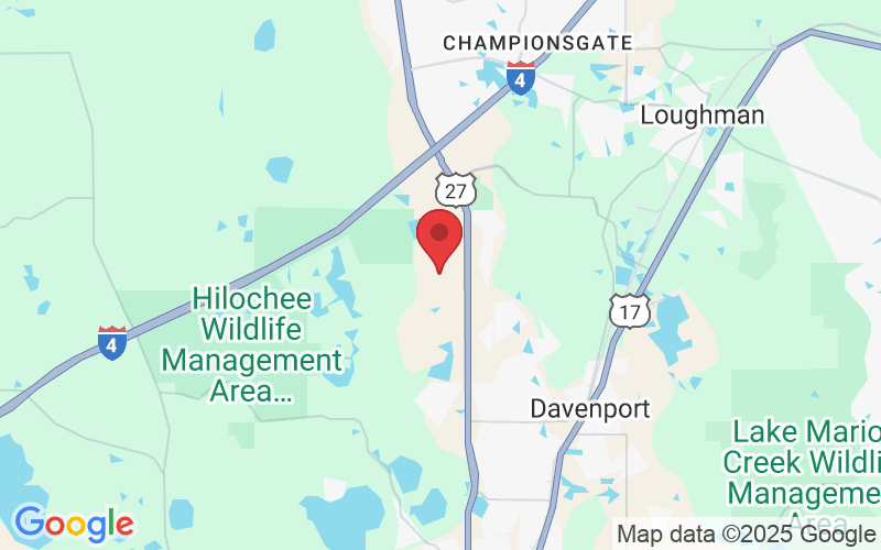 540 Lobelia Dr, Davenport, FL 33837, USA
