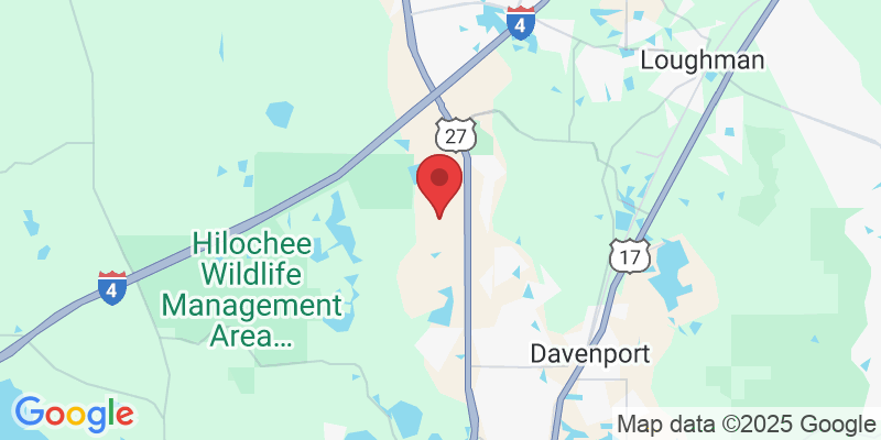 540 Lobelia Dr, Davenport, FL 33837, USA