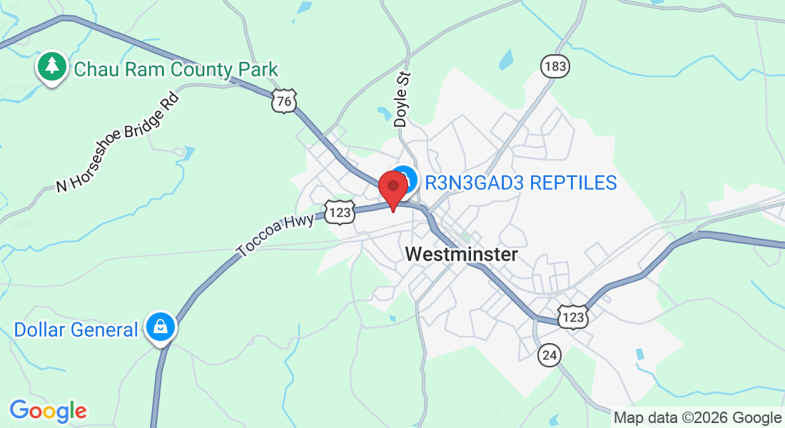 111 Toccoa Hwy, Westminster, SC 29693, USA