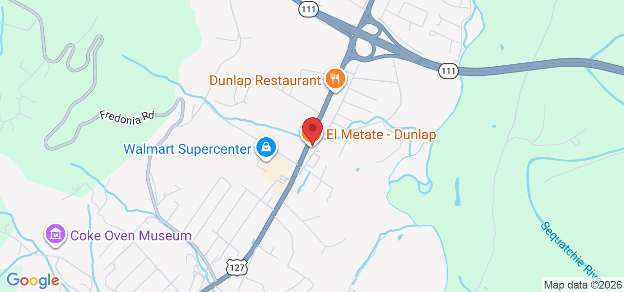 16952 Rankin Ave, Dunlap, TN 37327, USA