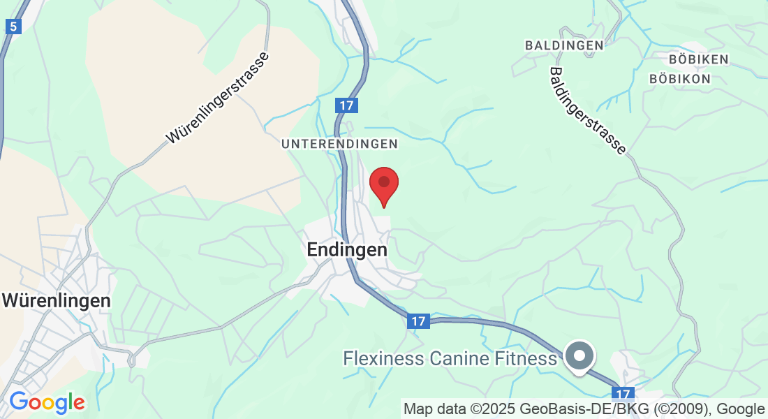 Rebbergweg 7, 5304 Endingen, Switzerland
