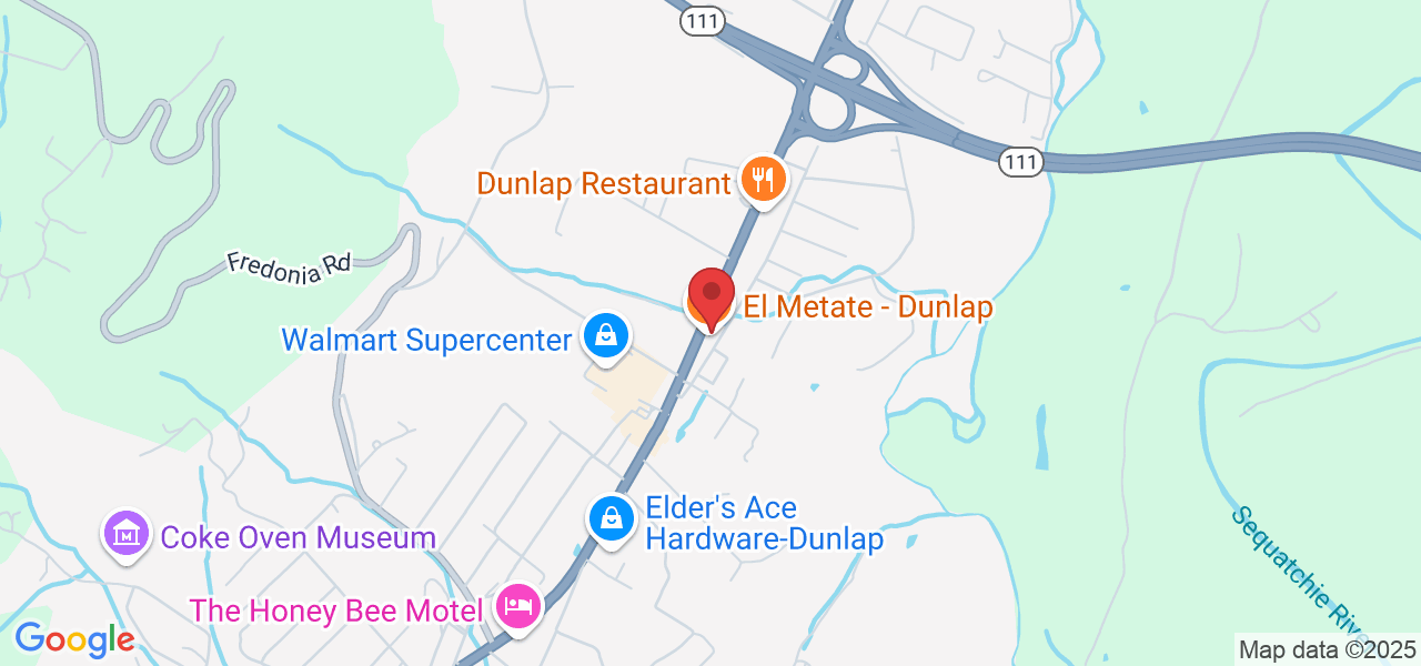 16952 Rankin Ave, Dunlap, TN 37327, USA