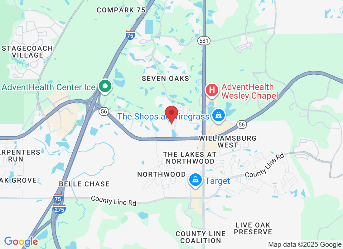 2044 Ashley Oaks Cir, Wesley Chapel, FL 33544, USA