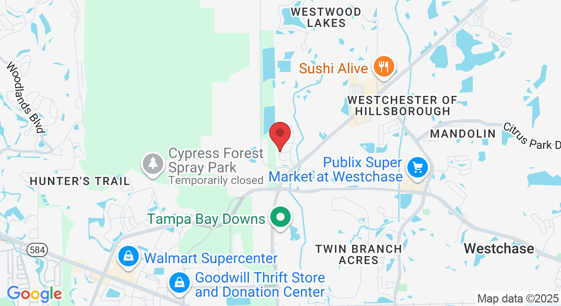 13800 Wright Cir, Tampa, FL 33626, USA