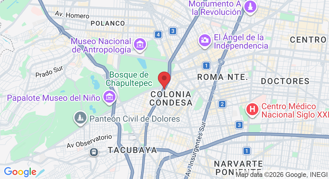 Bajo Puente de, Cto. Interior S/N, Colonia Condesa, Cuauhtémoc, 06140 Ciudad de México, CDMX, México