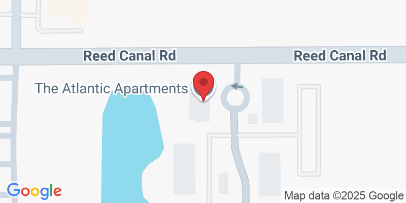 1401 Reed Canal Rd #15202, Port Orange, FL 32129, USA