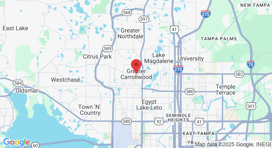 Greater Carrollwood, FL, USA