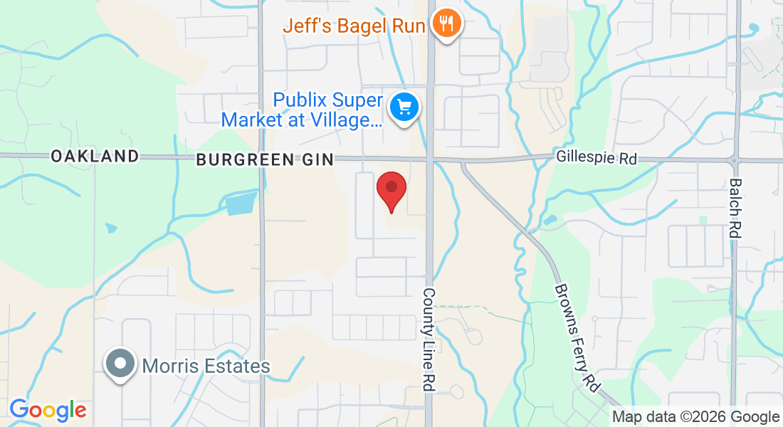115 Fld Vw Ln, Madison, AL 35756, USA