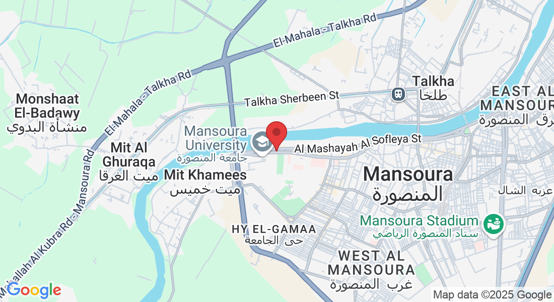 شارع الجمهورية،، Mansoura Qism 2, ، المنصورة،، Dakahlia Governorate 7650040, Egypt