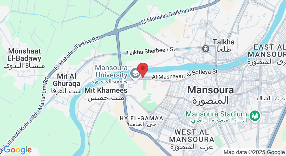 شارع الجمهورية،، Mansoura Qism 2, ، المنصورة،، Dakahlia Governorate 7650040, Egypt