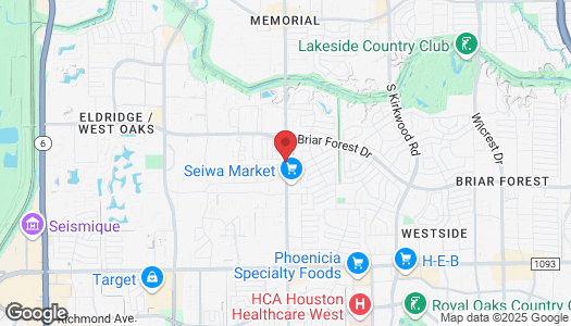 1650 S Dairy Ashford Rd, Houston, TX 77077, USA