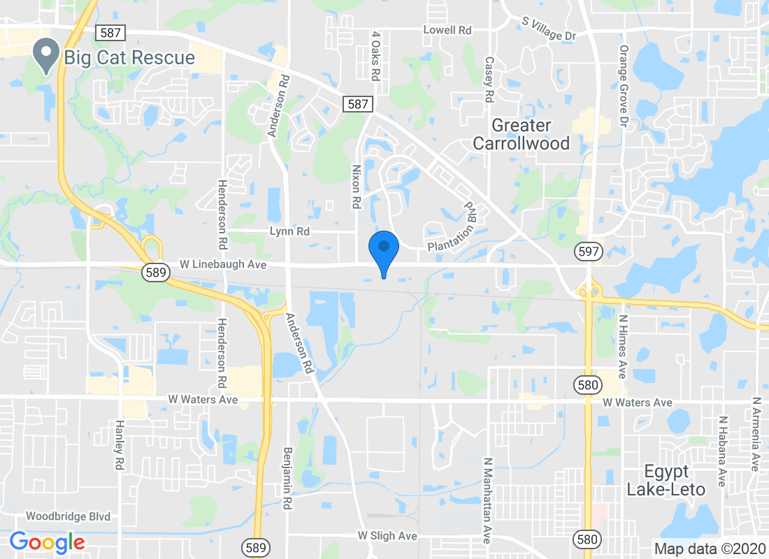 5040 W Linebaugh Ave, Tampa, FL 33624, USA