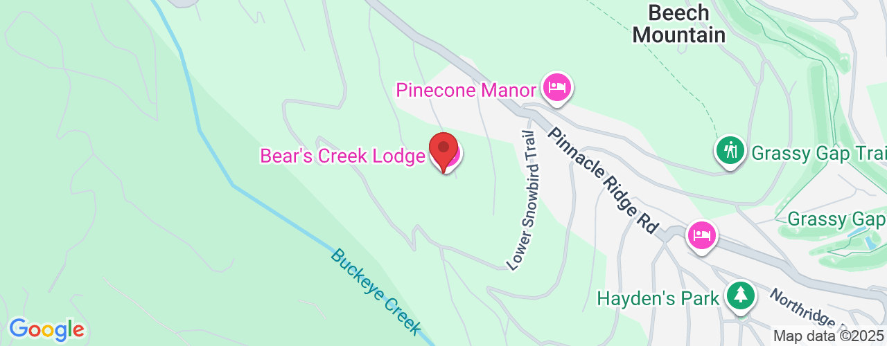 124 Aster Trail, Beech Mountain, NC 28604, USA