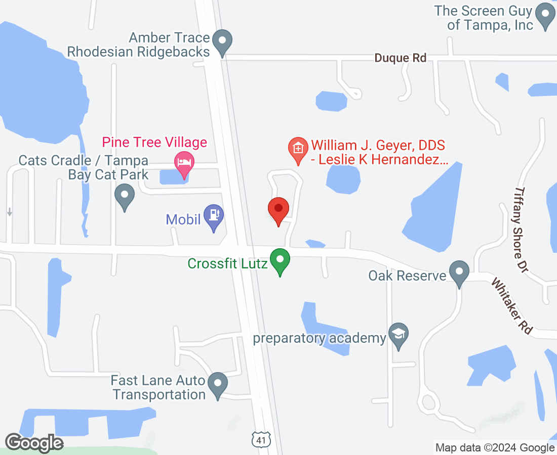 102 Whitaker Rd, Lutz, FL 33549, USA