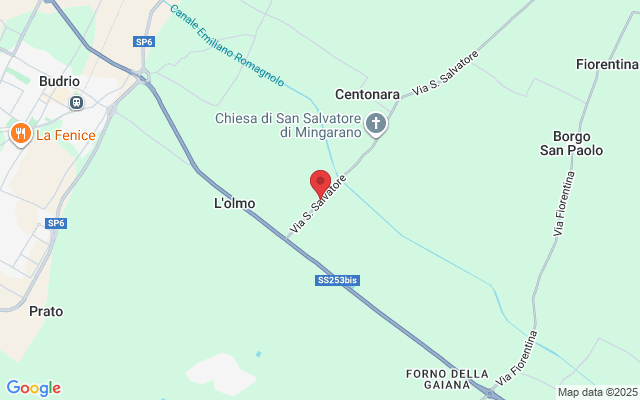 Via S. Salvatore, 5, 40054 Budrio BO, Italia