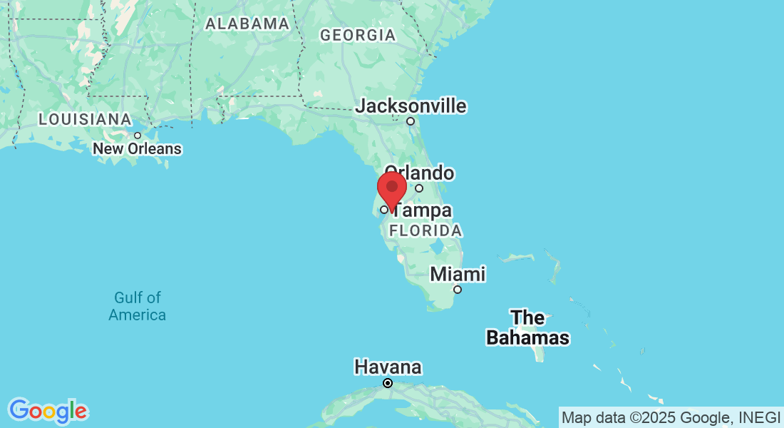 15503 Avocetview Ct, Lithia, FL 33547, USA