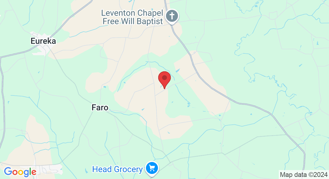 1208 Apple Tree Rd, Stantonsburg, NC 27883, USA