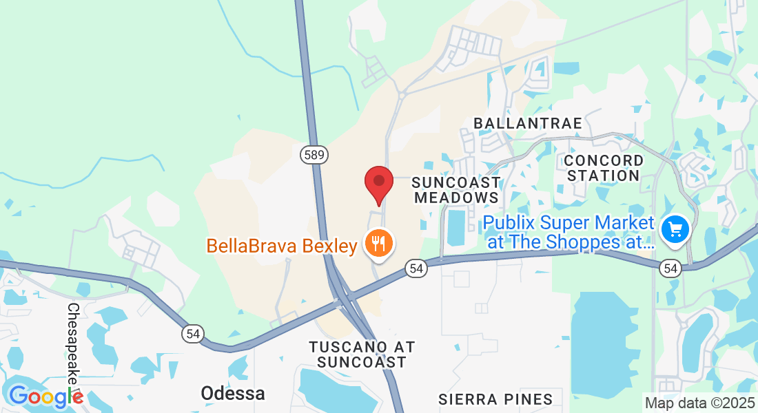 16703 Early Riser Ave, Land O' Lakes, FL 34638, USA