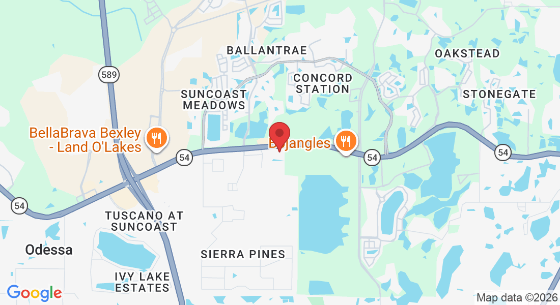 2550 Green Forest Ln suite 101, Lutz, FL 33558, USA