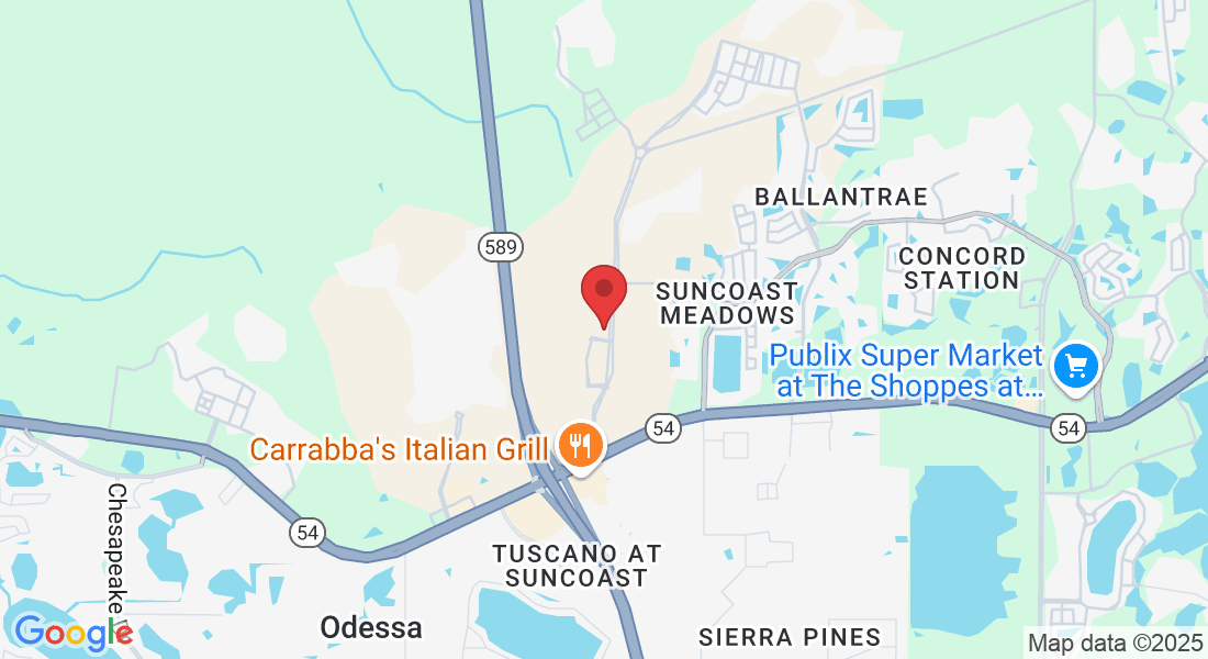 16703 Early Riser Ave, Land O' Lakes, FL 34638, USA